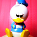 Little Donald Photo 7