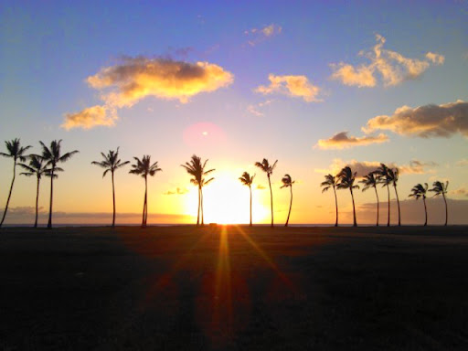 Jacklyn Rodriguez Photo 16