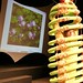 Alice Shafer Photo 10