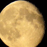 Deb Lester Photo 3