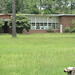 Delmar Robinson Photo 14