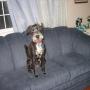 Diana Montgomery Photo 27