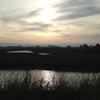 Roger Hutchins Photo 16