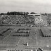 Clyde Williams Photo 38