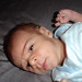 Nicholas Giovanni Photo 3