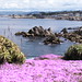 Rocky Rogers Photo 31