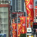 Sydney Cross Photo 10