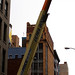 Lisa Davidson Photo 15