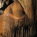 Chang Vang Photo 35