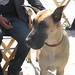 Terri Mooney Photo 16