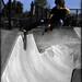 Sean Donnelly Photo 43