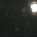 Timothy Roth Photo 11