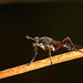 Jon Marsh Photo 19