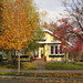 William Ellis Photo 49