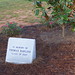 Sally Rawlins Photo 10