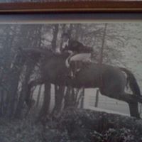 Carole Porter Photo 11