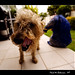Robbie Nutter Photo 6