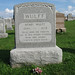 Henry Shepherd Photo 20