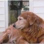 Cindy Staley Photo 15