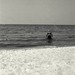 Donald Applegate Photo 8