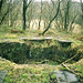 Dell Stone Photo 8
