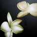 Helen Humphrey Photo 28