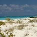Sandy Turk Photo 12