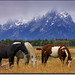 Brian Spears Photo 31