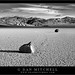 Dan Mitchell Photo 36