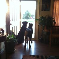 Jennifer Coley Photo 14