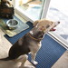 Alice Bristow Photo 9