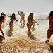 Steven Lippman Photo 5