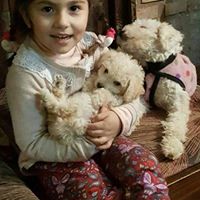 Rocio Maciel Photo 10