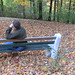 Terry Forest Photo 11