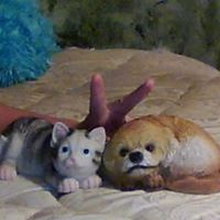 Grace Sage Photo 1