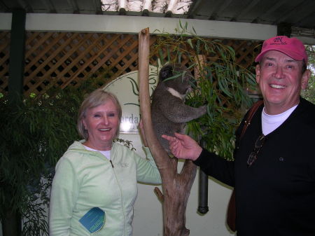Patricia Webb Photo 3