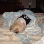 Kimberly Stuart Photo 22