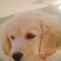 Mary Benner Photo 8