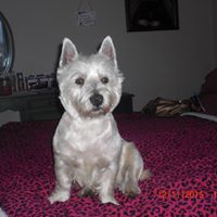 Daphne Bailey Photo 15