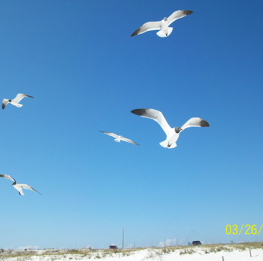 Christine Reeves Photo 9