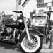 Cheri Harley Photo 7
