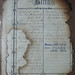 Eugene Mills Photo 21