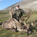 Fred Mcmillan Photo 30