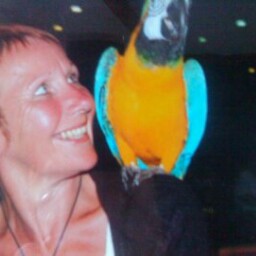 Joanne Scott Photo 39