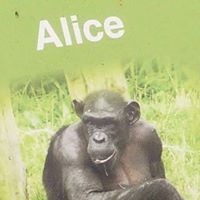 Alice Reid Photo 27