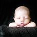 Tracy Page Photo 11