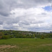 David Hark Photo 8