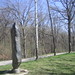 David Culver Photo 32