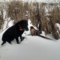 Tom Hinds Photo 22