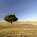 Alfonso Campos Photo 12